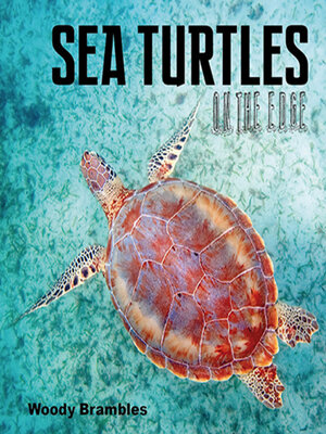 cover image of Sea Turtles
